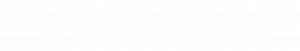 Waldmann-Petitpierre-Logo-invertiert